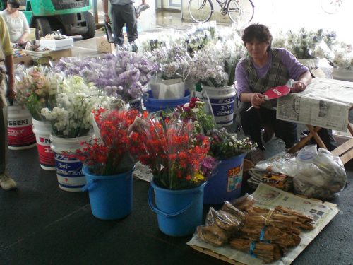 過去の盆市生産者①