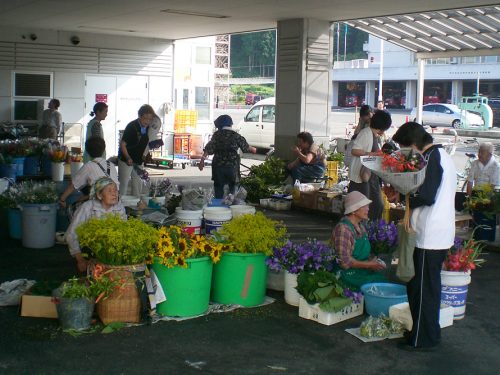 過去の盆市生産者②